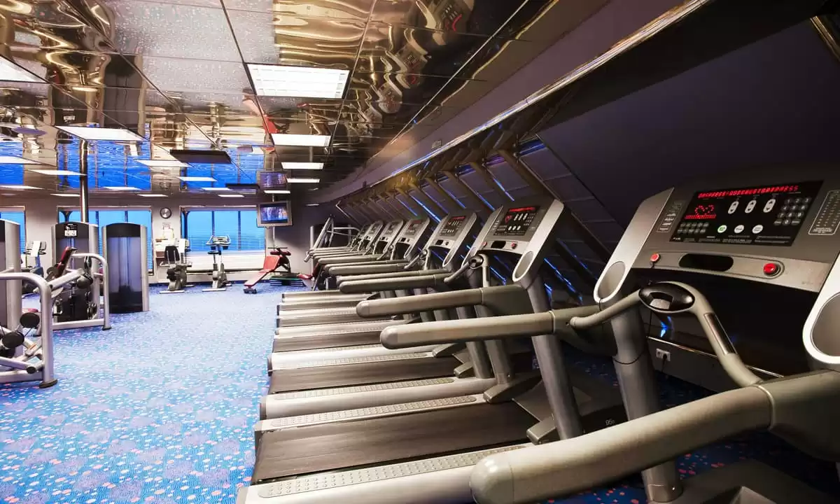 am Carnival Elation :  cabine 20