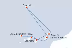 MSc Fantasia