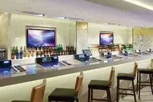 SVEDKA and Inniskillin Ice Bar