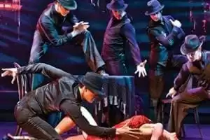 Show: Burn The Floor