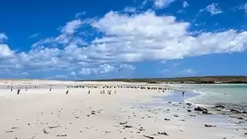 Falklandinseln