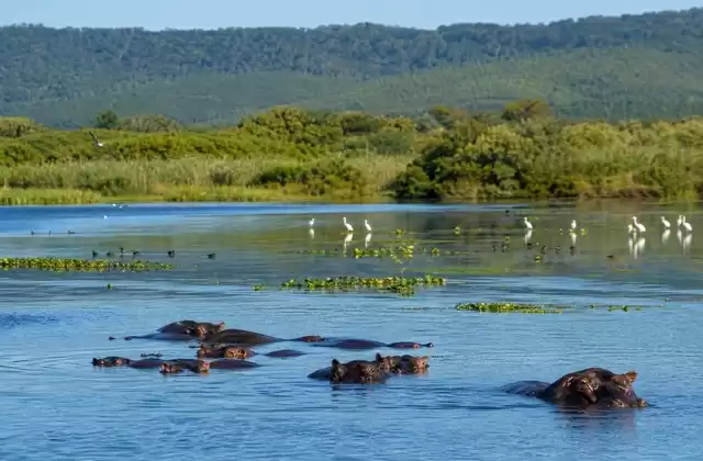Im iSimangaliso Wetland Park