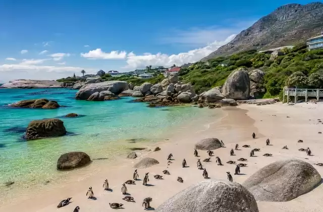 Auf der Kap-Halbinsel