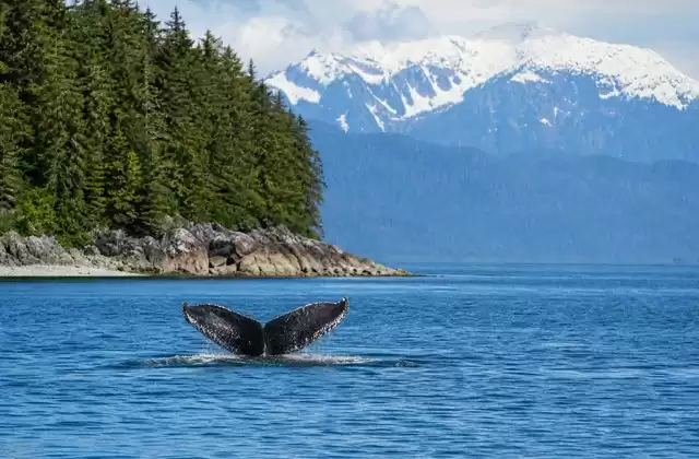 Am Icy Strait Point
