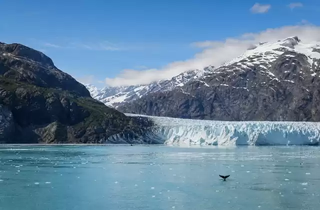 In der Glacier Bay