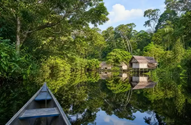Im Amazonasgebiet