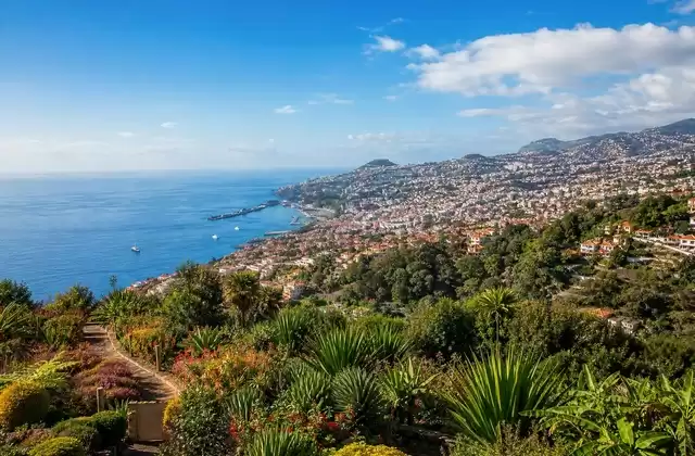 Auf Madeira