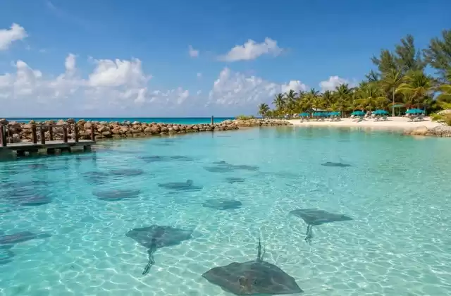 Auf Great Stirrup Cay (NCL)