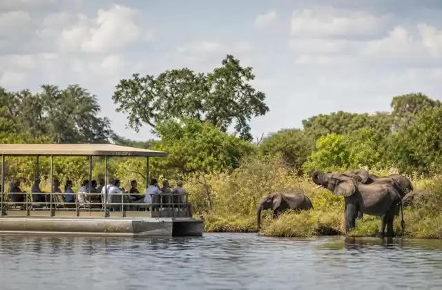Chobe-Fluss