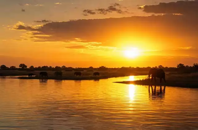 Sonnenuntergang am Chobe