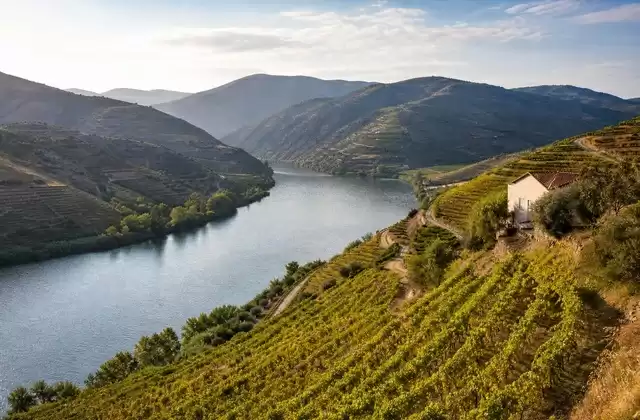 Douro-Tal