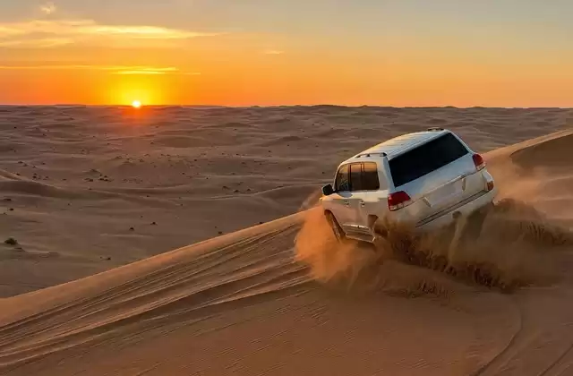 In der Wüste (Dubai/Abu Dhabi)