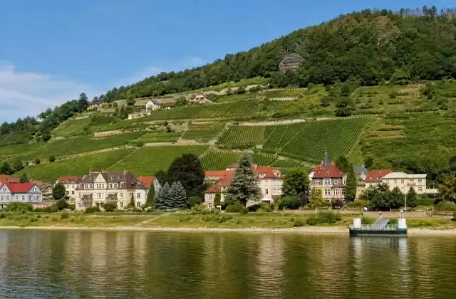Sächsische Weinberge
