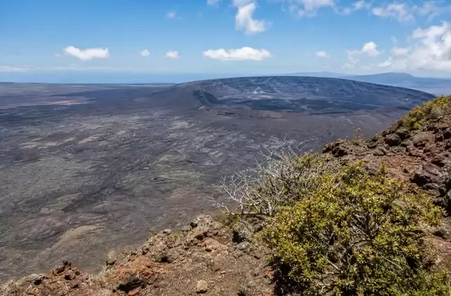 Auf Isabela