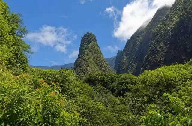 Auf Maui