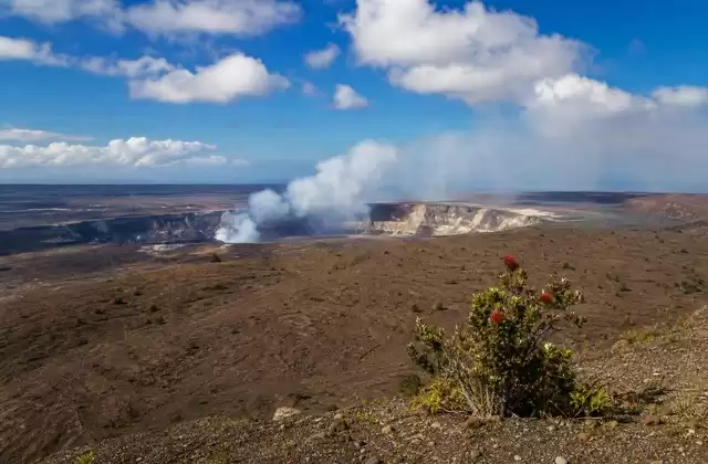 Auf Big Island