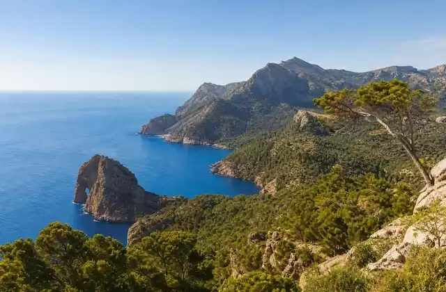 Auf Mallorca