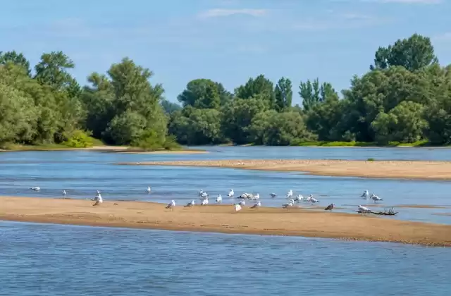Loire-Inseln