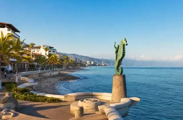 In Puerto Vallarta