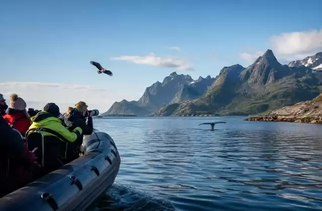 Im Lofoten-Archipel