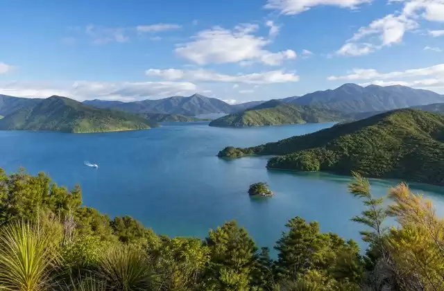 In den Marlborough Sounds