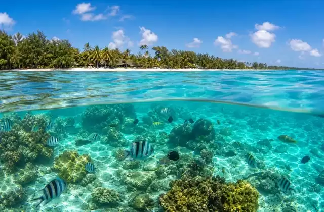 Mauritius