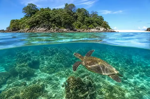 In Madagaskar (Nosy Be)