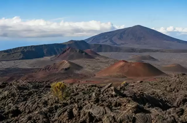 Auf La Réunion