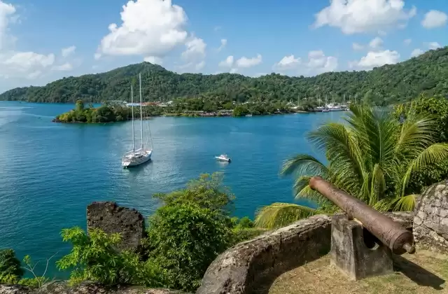 Um Portobelo