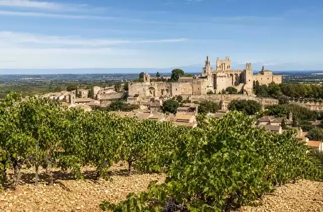 In Châteauneuf-du-Pape