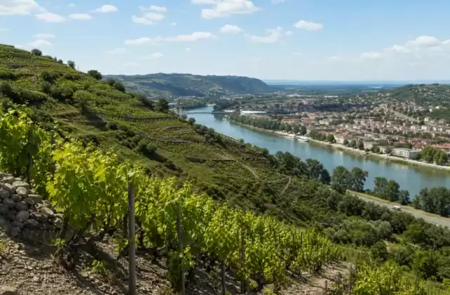 In Tain-l’Hermitage