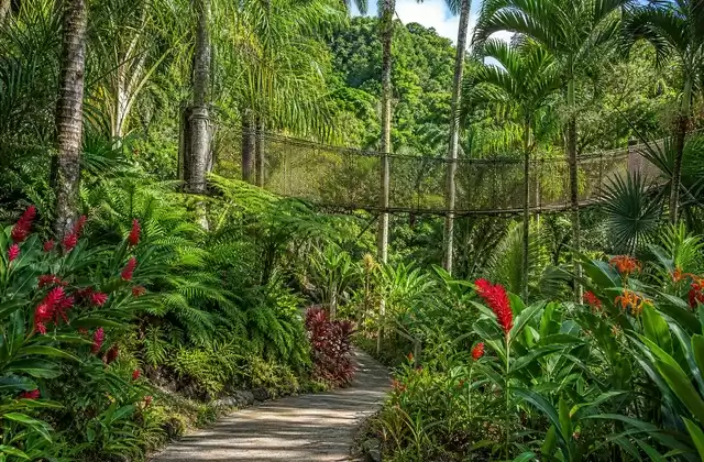Jardin de Balata
