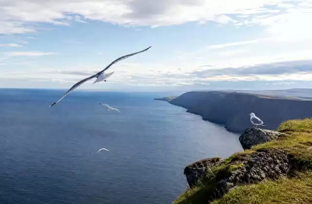 Nordkap