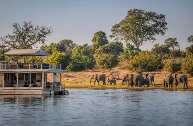 Fahrt am Chobe-Nationalpark