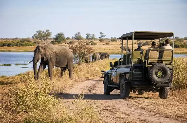 Landsafari im Chobe-Nationalpark