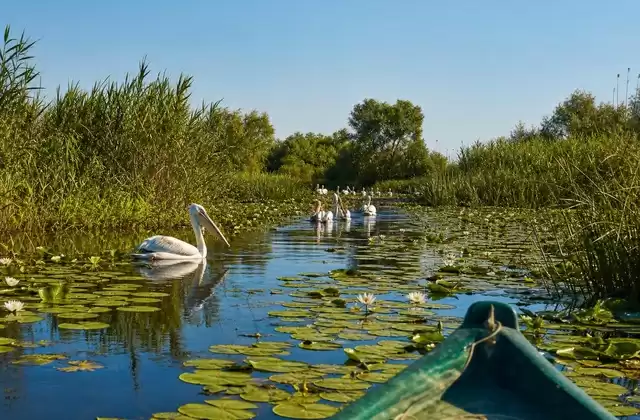 Mit einem kleinen Boot durch das Donaudelta