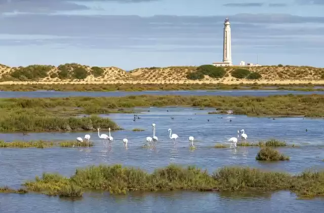 Der Nationalpark Doñana und das Mündungsgebiet