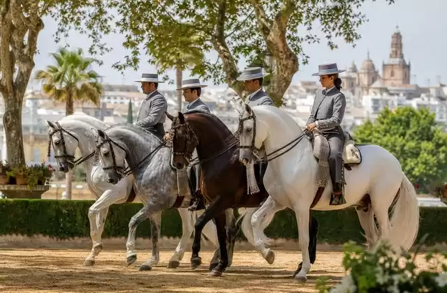 Andalusische Pferdeschau