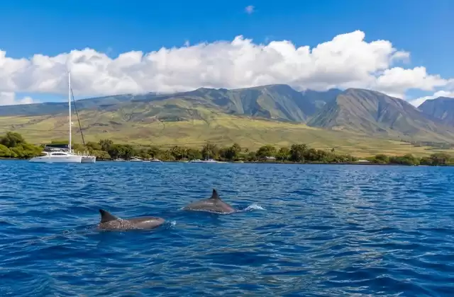 Mā‘alaea