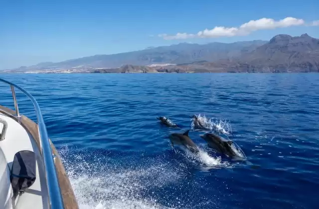 Teneriffa (Santa Cruz)