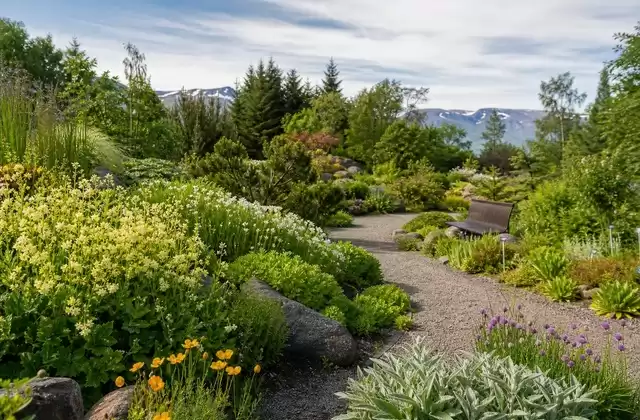 Botanischer Garten von Akureyri