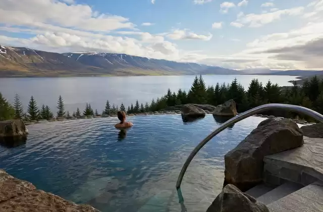 Forest Lagoon mit Blick auf den Fjord