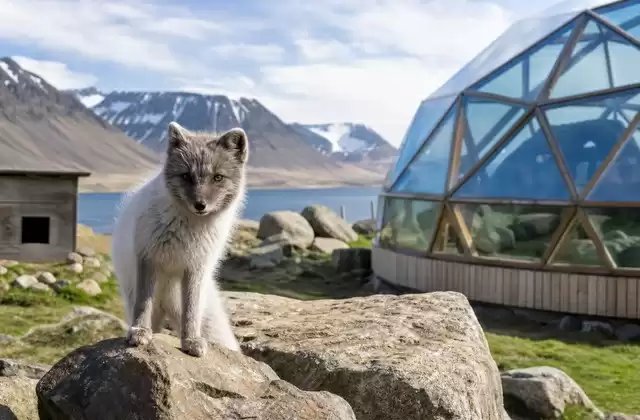 Polarfuchszentrum