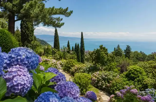Botanischer Garten