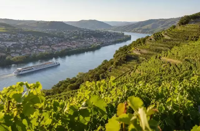 Die Weinberge von Tain-l’Hermitage